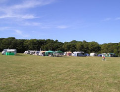 Camping on the Isle of Wight